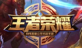 王者回忆录最新爆料,揭秘神秘英雄背后的传奇故事